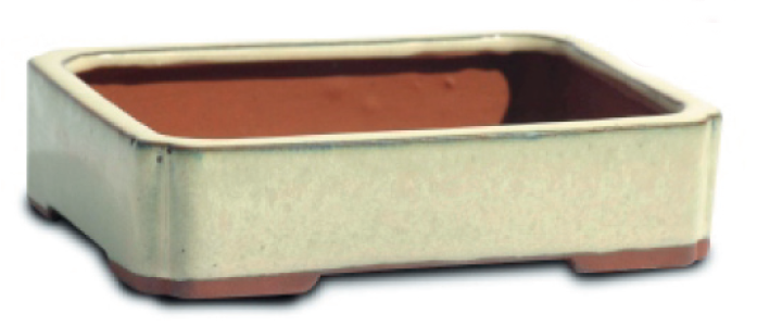 Maceta Bonsai Rectangular recta 6'' (15x11x3,5 cm)